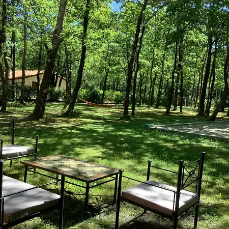 La Morandiere Grayan-et-l'Hopital