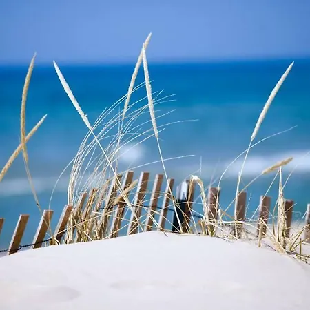 Apartment La Morandiere *