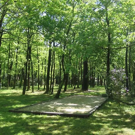 Apartment La Morandiere *